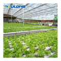 Agricultural NFT Hydroponics PVC Pipes